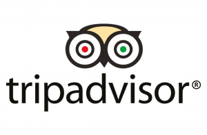 TripAdvisor WiFi Plus se personaliza con la marca de cada suscriptor y funciona recopilando automáticamente la información de contacto de los clientes que optan por utilizar el WiFi gratuito del local. Los propietarios pueden utilizar el email marketing para contactar con los usuarios y animarlos a que dejen comentarios en TripAdvisor sobre sus experiencias gastronómicas.