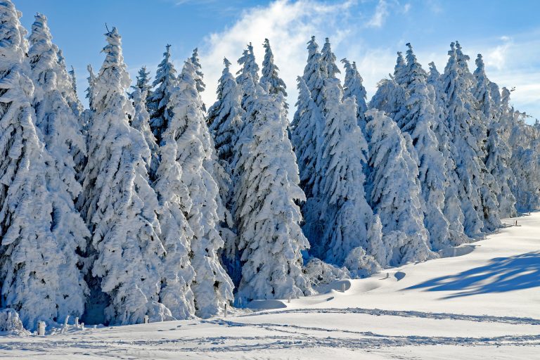Grandvalira Resorts inaugura este sábado la temporada de invierno 2019-2020 con la apertura de la estación de Ordino Arcalís. Las nevadas de estos últimos días han dejado unas cotas en la estación de Ordino que oscilan entre los 20 y 40 cm de nieve polvo.