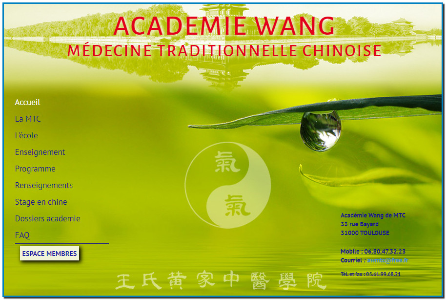 CORONAVIRUS COVID-19 ENTRE TRADITION ET MODERNITÉ - Académie Wang de Médecine Traditionnelle Chinoise Toulouse Haute-Garonne France