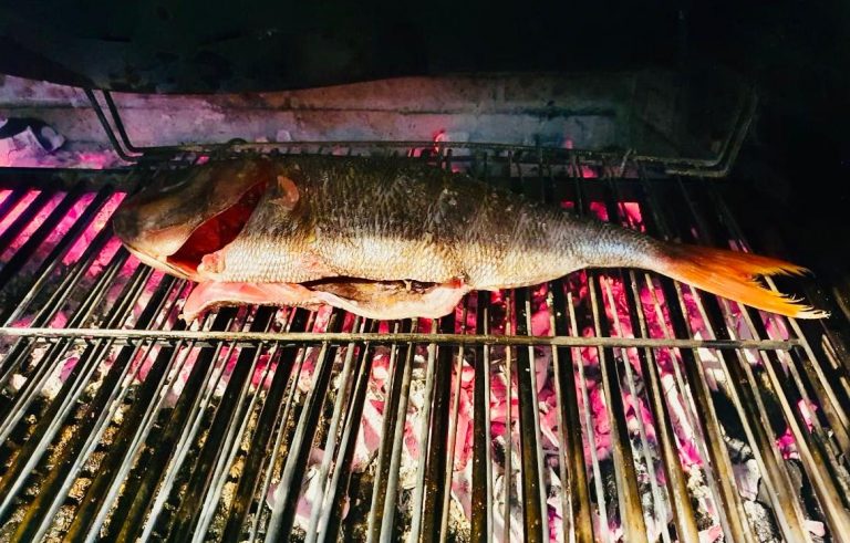 Besugo de 2 kg a la brasa en el Restaurant Borda Xixerella Andorra en Erts La Massana el Besugo es el Rey de los Pescados en Japón