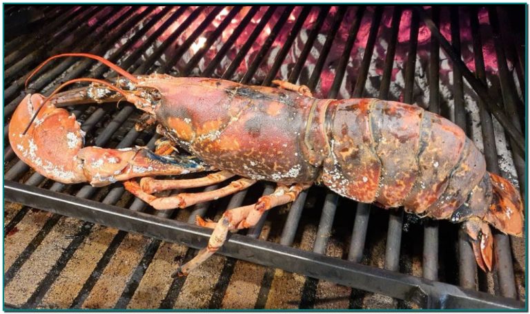 Nuestro Chef afirma que el Bogavante azul es el marisco que más le gusta por ser muy delicado y sabroso. Además por ser el producto que quisiera encontrar, si él fuera como cliente, a un sitio como la Borda Xixerella