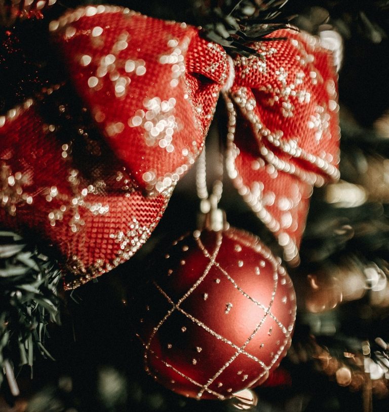 Si tens un menjar o sopar de festes de Nadal amb amics o de negoci el nostre restaurant Les Barques a Escaldes és el lloc ideal. També pots gaudir d’un dinar o sopar informal. Truca i reserva la teva taula per aquestes festes.