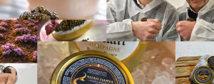 Shah Prestige en Andorre. Des produits gastronomiques d’exception, issus des plus nobles origines et rigoureusement sélectionnés selon les plus hauts standards de qualité. Caviars, safrans, chocolats et pistaches composent une sélection rare, destinée à ceux qui exigent l’excellence sans compromis. https://www.shahprestige.com/